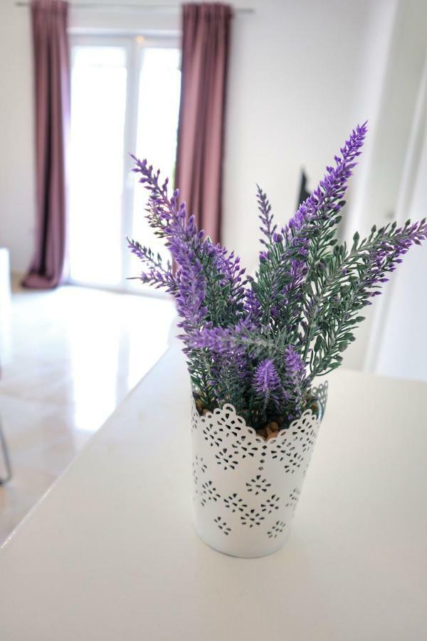 Apartment Velvet ซาดาร์ ภายนอก รูปภาพ